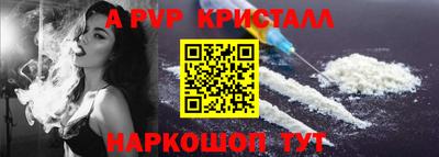 стафф Камышлов
