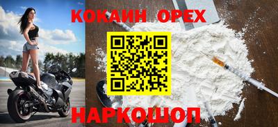 стафф Камышлов