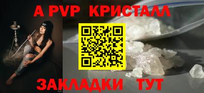 стафф Камышлов
