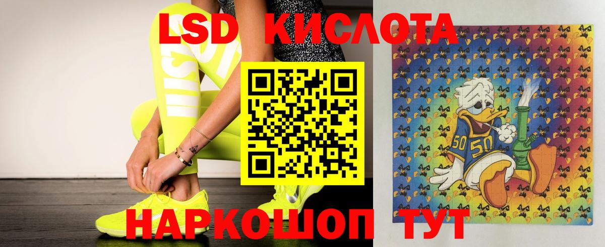 Коряжма  мега ссылка  LSD-25 экстази ecstasy  Вход с VPN  ЛСД экстази ecstasy 