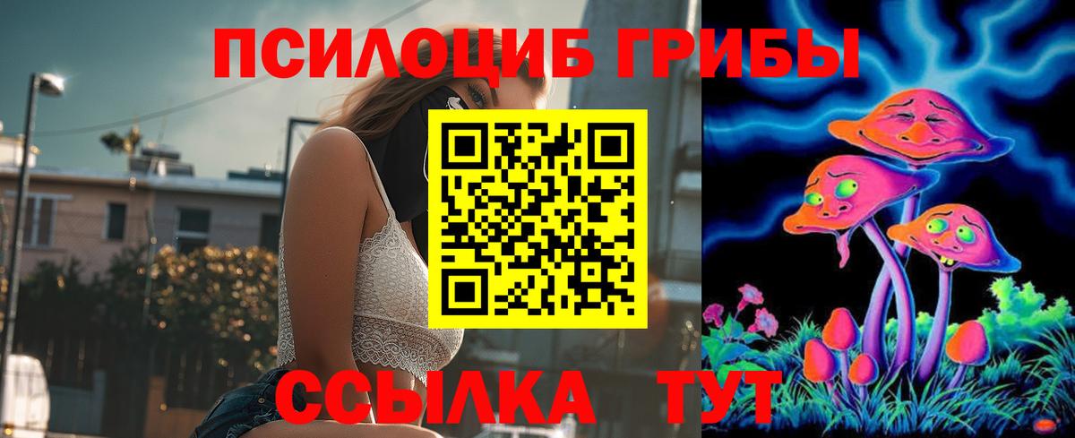 Коряжма  Галлюциногенные грибы Psilocybine cubensis  Вход с VPN 